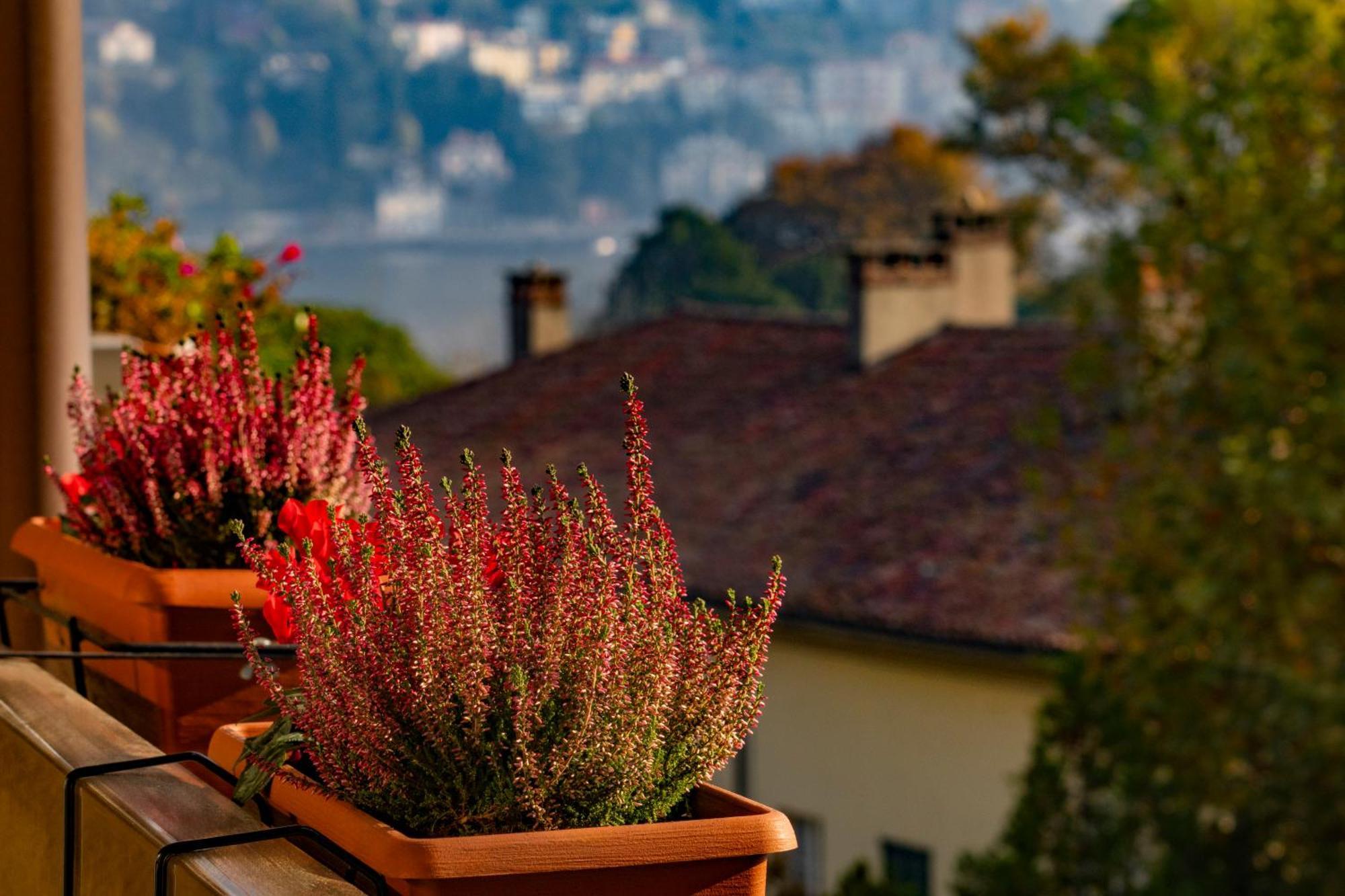 Villa Olmo Cozystay Como Exterior photo